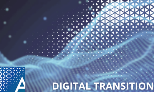 Digital Transition for Managers and Mentors